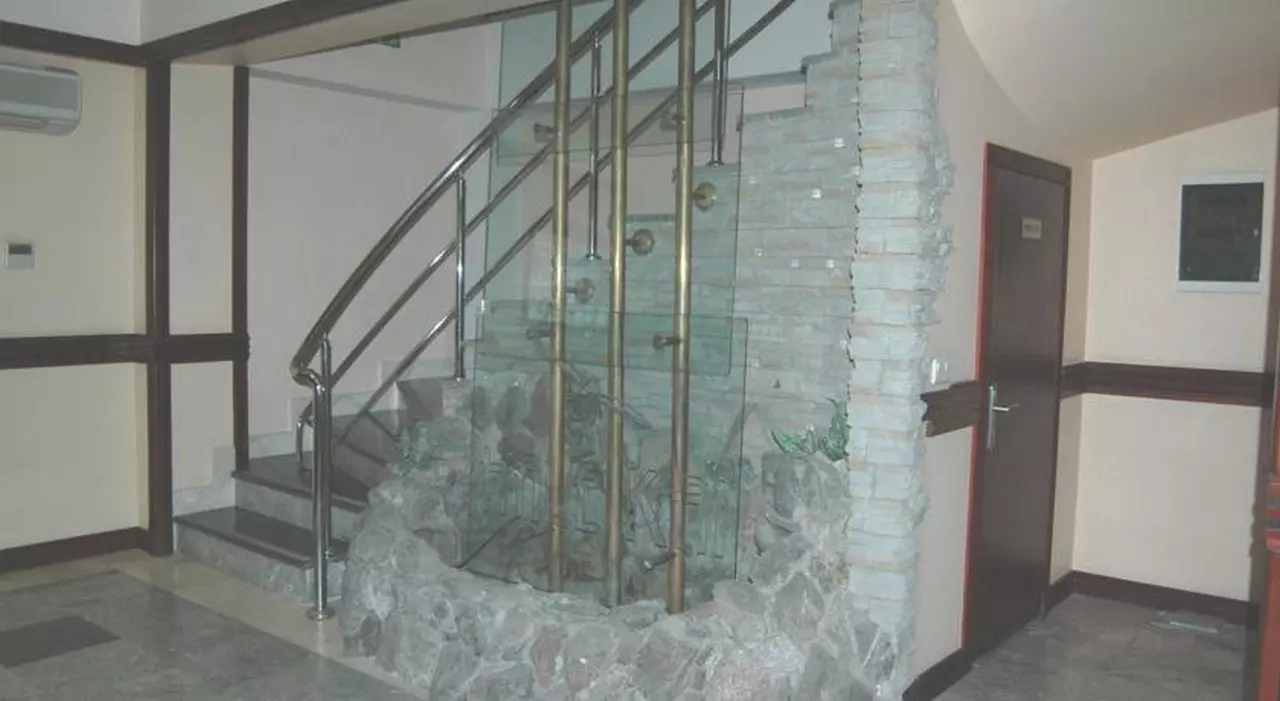 halekai_shabaviz (8).jpg